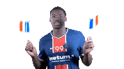 France Dancing Sticker by Paris Saint-Germain Handball