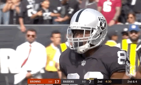 2018 Nfl Football GIF by NFL
