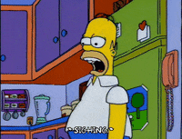 homer simpson episode 6 GIF