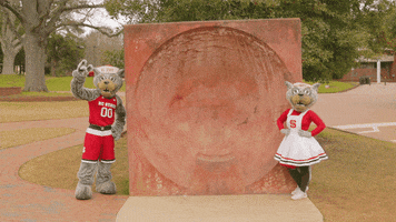 Nc State Wave GIF by NC State University