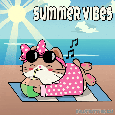Spring Break Summer GIF by Silly Kitties