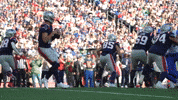 Football Nfl GIF by New England Patriots