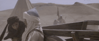 Mbc GIF