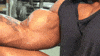 muscle bodybuilding GIF
