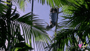 GIF by Vidiots