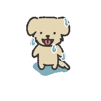 여름 Waterpark Sticker