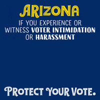 Election 2020 Phoenix GIF by Creative Courage