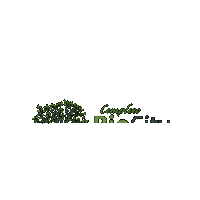 Bairro Complexo Sticker by unicosincorporadora