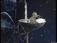 Kiwi GIF