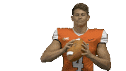 Nfl Preseason Sticker by Carson-Newman Athletics