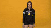 Volleyball GIF by Cal State LA Golden Eagles