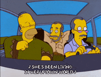 homer simpson episode 6 GIF