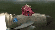 crawju crypto cardano blastoff crawju GIF