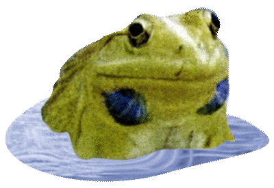 Frog Sticker by Shambhala Music Festival