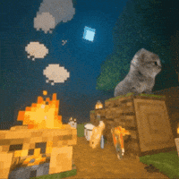 Kitten GIF