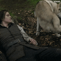 Season 7 Dog GIF by Outlander