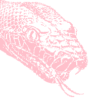 moving image pink STICKER