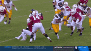gostanford  GIF