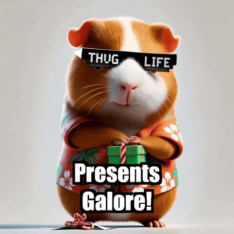 Guinea Pig Christmas GIF by Guinea Gambino