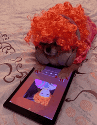 Dog Rap GIF