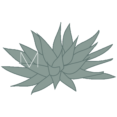 MesaTacos giphyupload mesa nampa nampa idaho Sticker