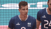 Argentina Espera GIF by Volleyball World