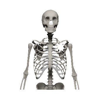 Skeleton Sticker by imoji