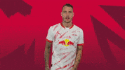 Sport Celebration GIF by RB Leipzig
