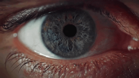 Nishelinek giphygifmaker hannibal hannigram hannibalnbc GIF