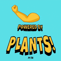 Animal Rights GIF by PETA