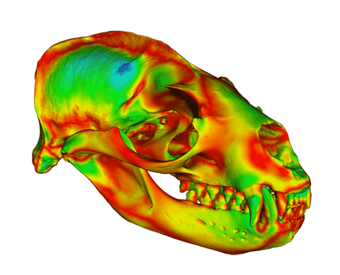 prucha giphyupload GIF