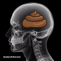 X-Ray Brain GIF