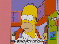 homer simpson episode 21 GIF