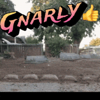 Gnarly GIF