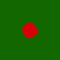 Brazil Nordeste GIF by VISUAL SHITS