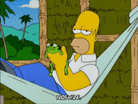 homer simpson hammock GIF