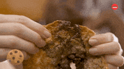 Chocolate Cookies GIF by BuzzFeed