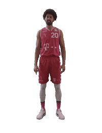 TelekomBaskets basketball swipe up swipe up Sticker
