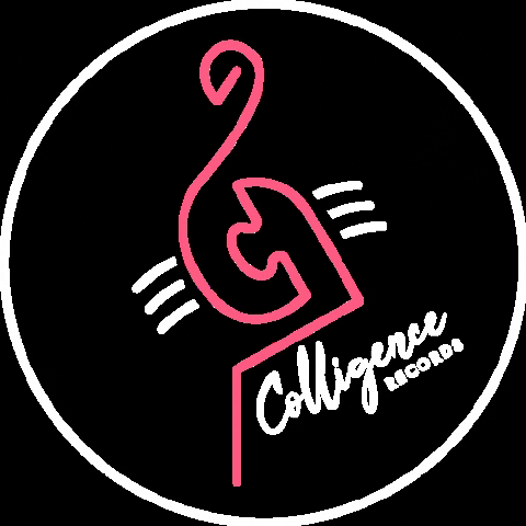 ColligenceRecords records label colligence colligence records GIF