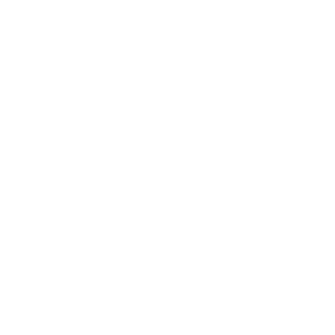 Trs Sticker by TAURUS Sicherheitstechnik