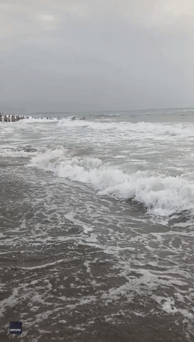 Beachgoers Form Human Chain to Rescue Swimmers on Albanian Coast