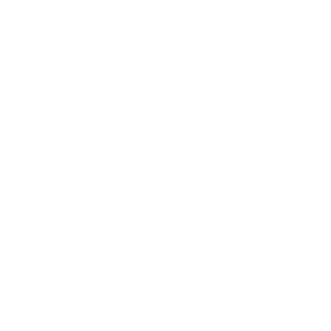 White Star Sticker