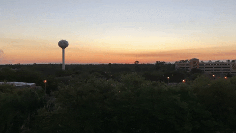 ucf knights sunrise GIF by University of Central Florida
