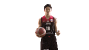 World Cup Game Sticker by FIBA