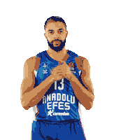 Sport Basketball Sticker by Anadolu Efes SK
