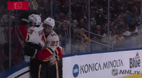 Ice Hockey Hug GIF by NHL