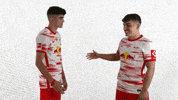 Football Zusammen GIF by RB Leipzig