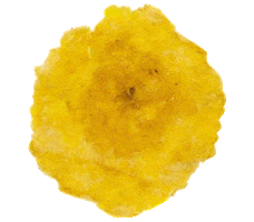 chiflarsnacks snack crunch snacktime crunchy Sticker