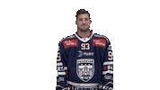 Celebration Goal Sticker by Fehervar AV19
