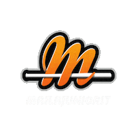 Pesis Sticker by Mailajuniorit ry